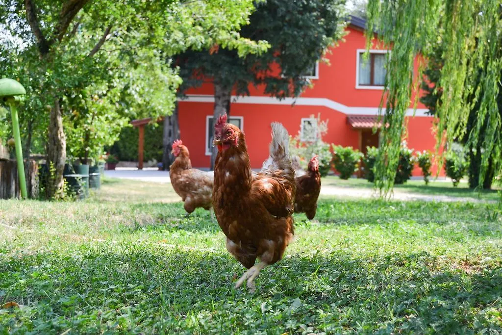 Farm stay Agriturismo Ca' La Pergola Verona