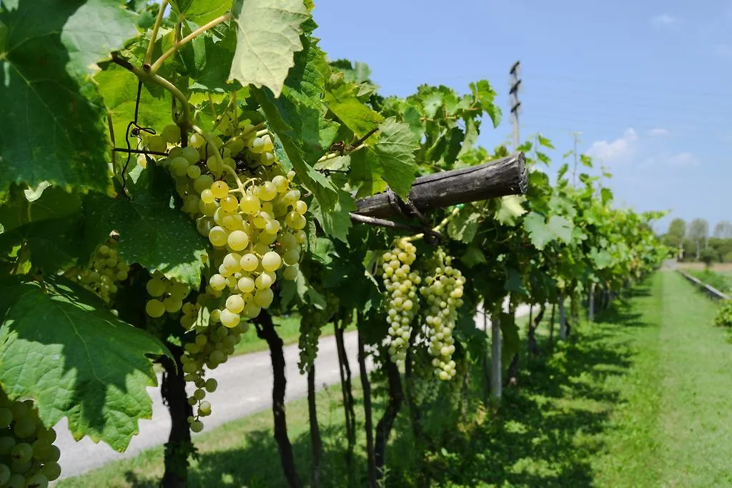 Agriturismo Ca' La Pergola Verona 0*,